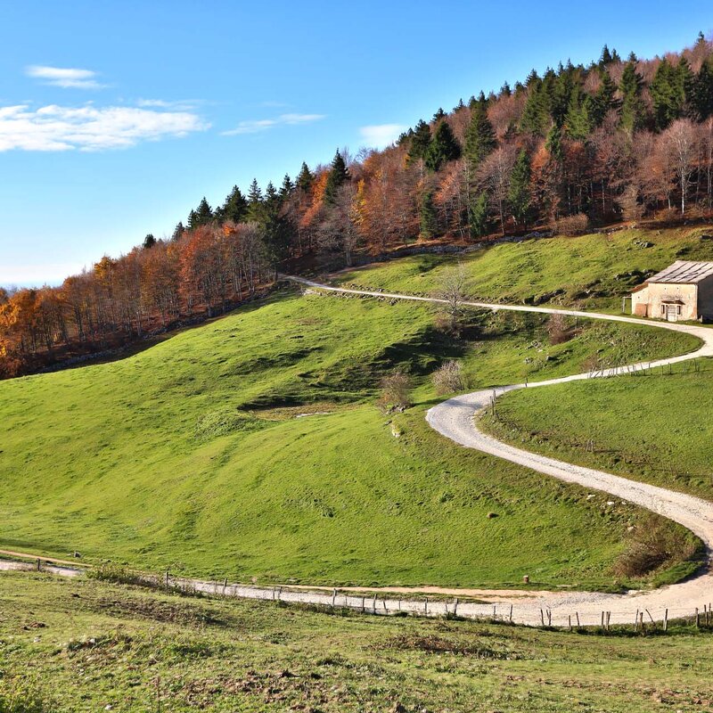 Lessinia