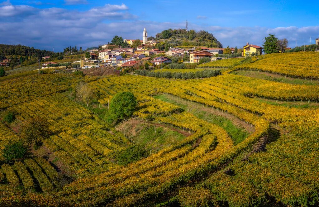 Vignetti Soave