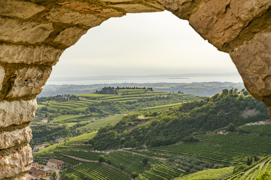 Valpolicella