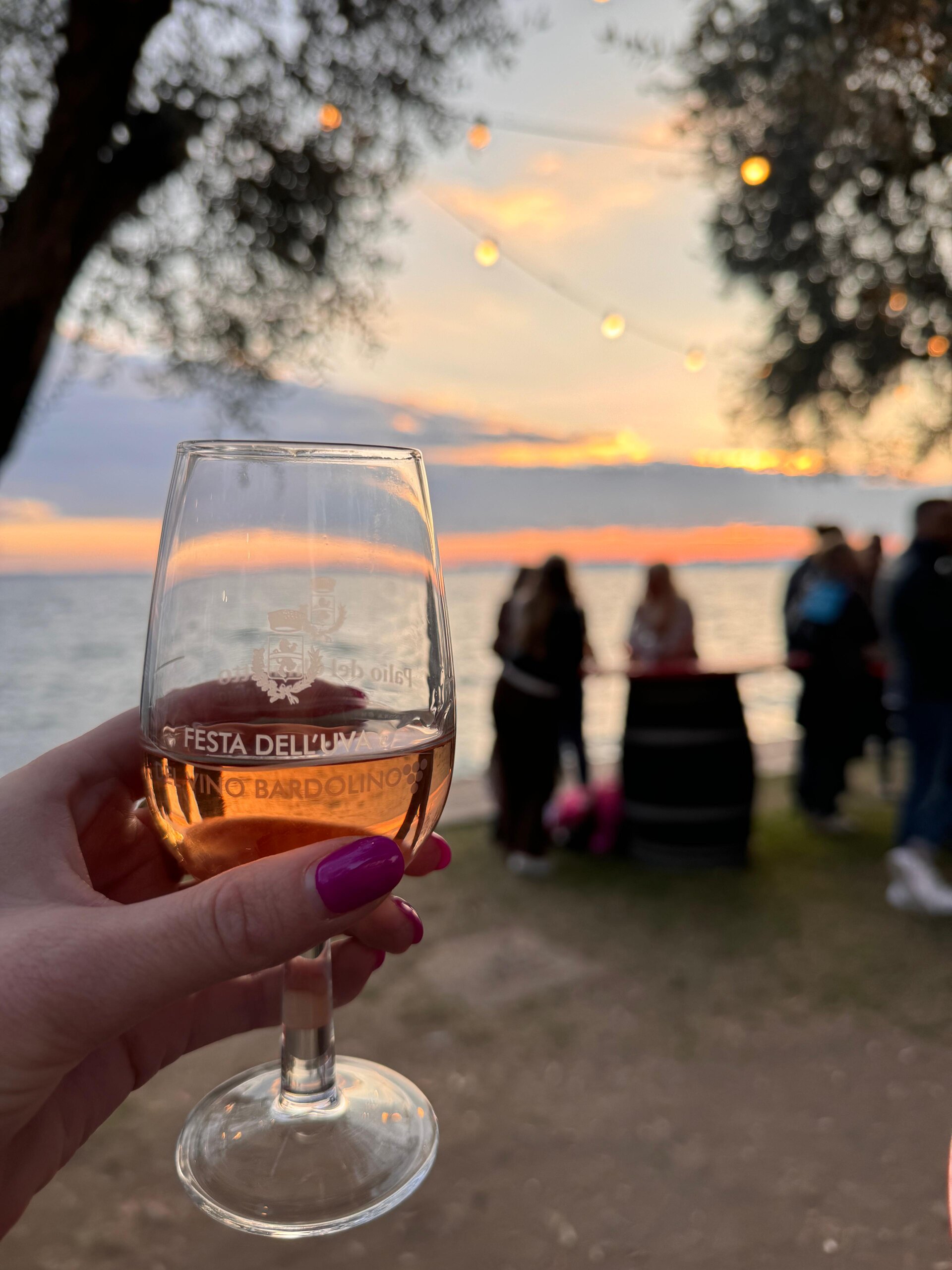 Festa dell'Uva e del Vino di Bardolino 2025: risultati positivi per il turismo gardesano